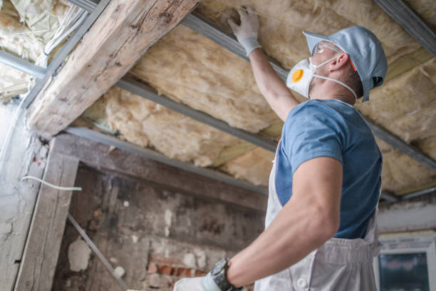 Best Specialty Insulation in Johnsonburg, PA
