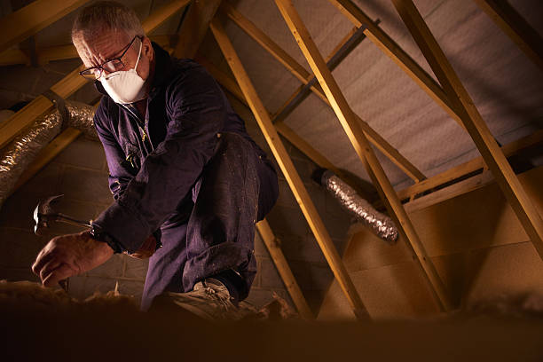 Best Insulation Maintenance and Repair in Johnsonburg, PA